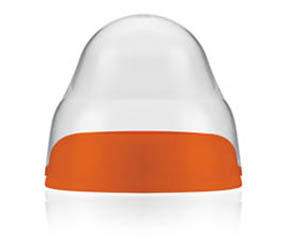 �����ǌ��ڏ���ƿ�w�Æ���