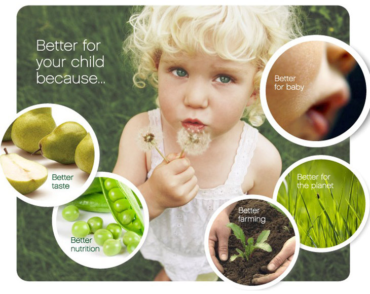 ����ʳƷ�����B�����޹�˾����