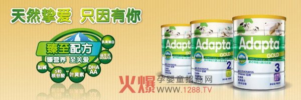 Adapta���׃��̷� ��I(y��ng)�B(y��ng)���P(gu��n)��