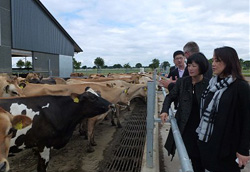 ��ţ��Դ���I(y��)���m��������(ch��ng)������(d��ng)��