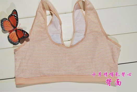 ʮ����ǰ�������_(k��i)ʽι������