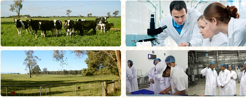 聯(lián)手北安宜品努卡乳業(yè) 締造重磅新品