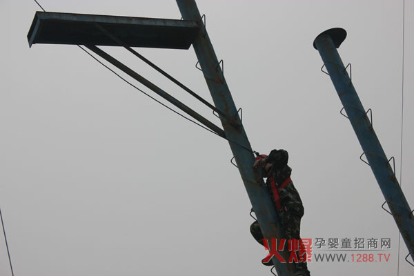 在學(xué)習(xí)與思考中飛向更高的天空