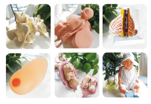 �옷����yunf�WУ�̌W�þ�