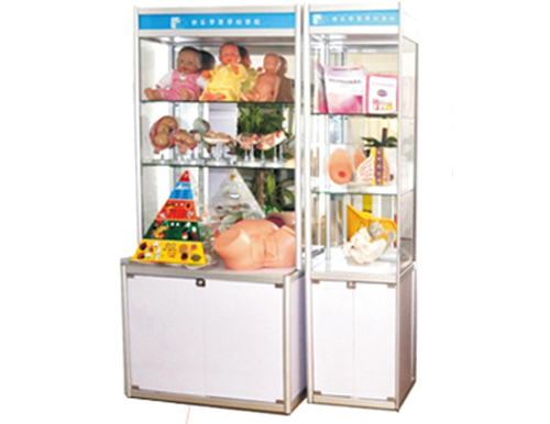 快樂(lè)孕育yunf學(xué)校教學(xué)用具