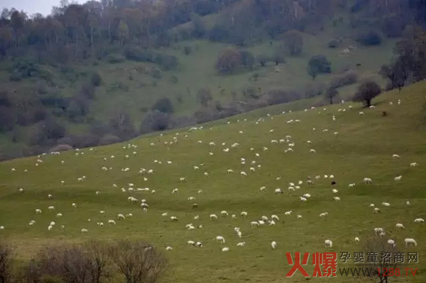 �P(gu��n)ɽ��I(y��)���B(t��i)����(ch��ng) ��(chu��ng)�¹�����ʽ �����(gu��)�H�����B(t��i)����(ch��ng)