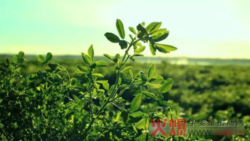 �xɽţ�̟���ӛ��������(ch��ng)������ �����֎ײ���