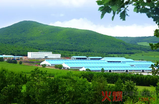 �l(f��)չ��(sh��)�w��(j��ng)��(j��)�����_(d��)ɽ���Є���