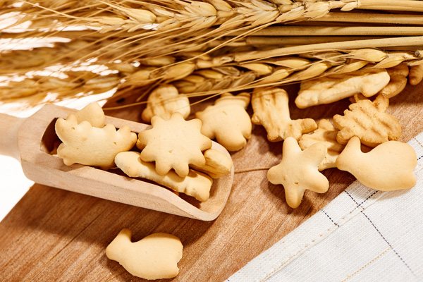   �݋댚�����-�~��