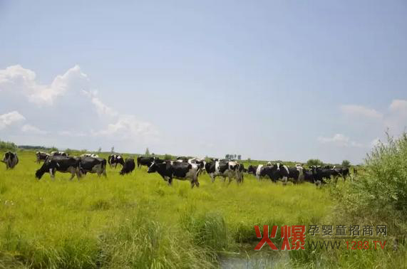 ���_(d��)ɽ�̷۞�Ε��ܵ��@ô���˵�ϲ����