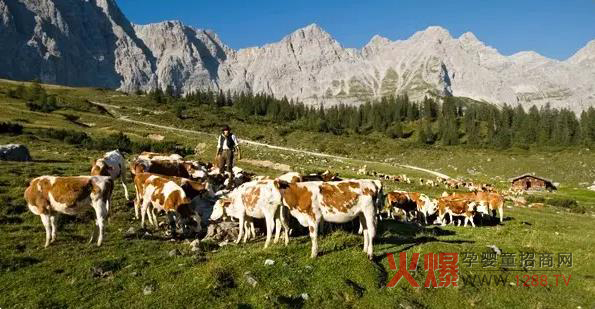 �ɰż{�ЙC�̷� �ķ��ЙC�J�CƷ�|(zh��)����