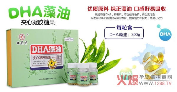 ��֥��DHA���͊A�����z�ǹ� ��ֲ���(l��i)Դ��(y��u)�|(zh��)�àI(y��ng)�B(y��ng)