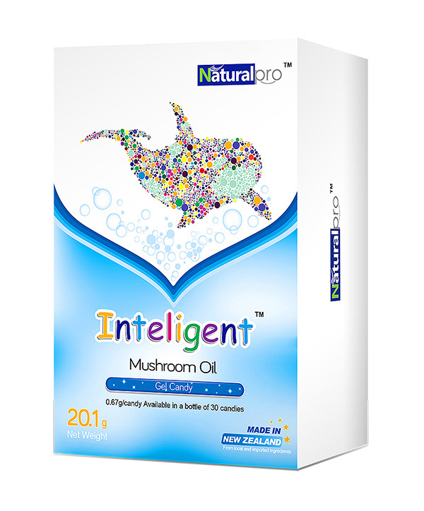  �Ģ�������z�ǹ�