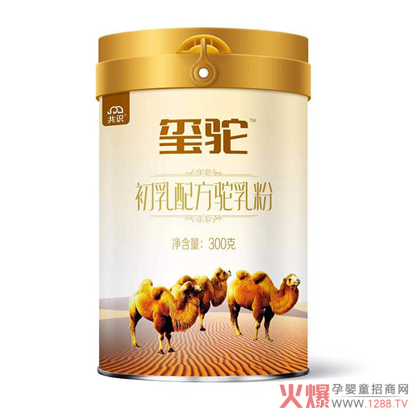 2020�Ă����ӵ��̷ۺ��u��׌�t����۽o�����