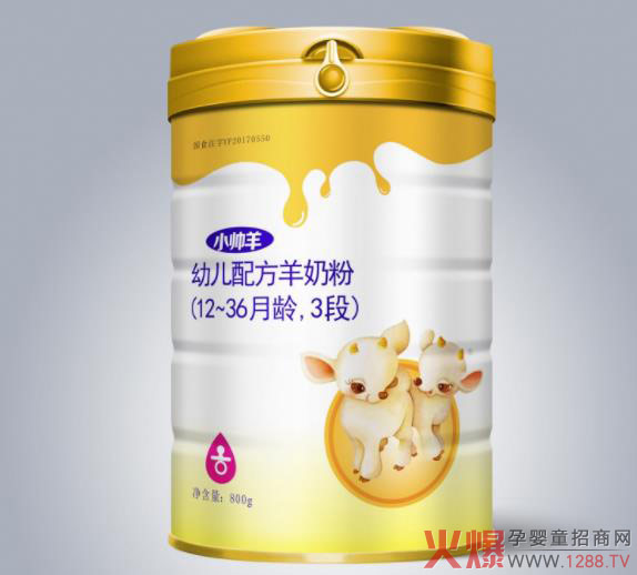 С�������̷� �\��ȫ�����N����