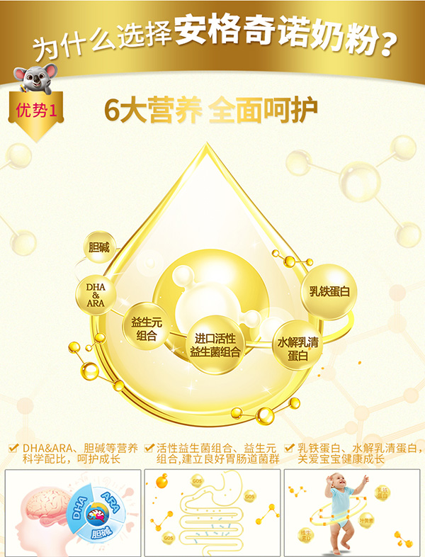 安格奇諾youe配方奶粉3段800g 3.jpg