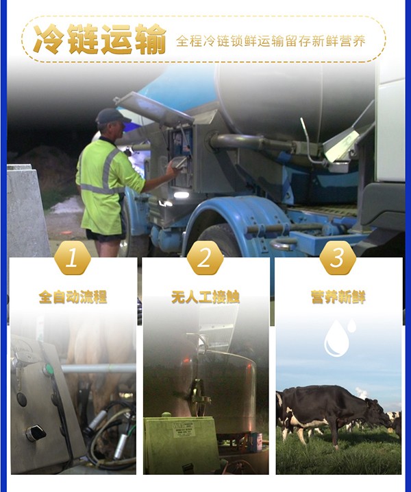 詩幼樂youe配方奶粉3段 4.jpg