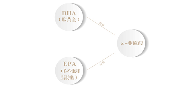 南園國(guó)色牡丹籽油480ml (7).jpg