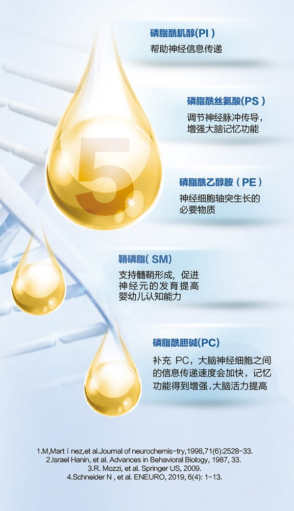   ؐ������Խ�׃��䷽�̷�(12-36���g��3��)4