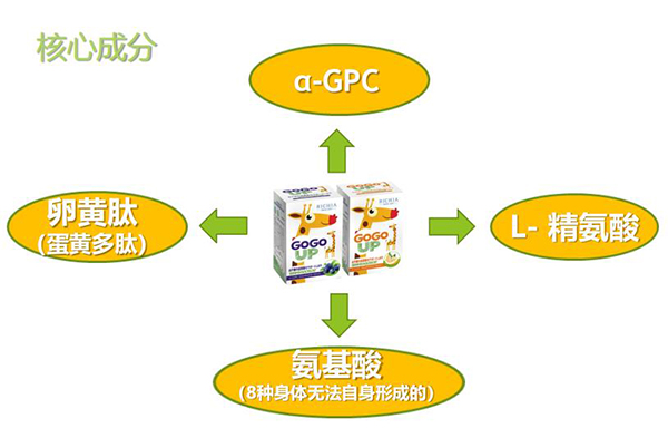 GOGOUP�䷽�I�B(y��ng)�a�䄩��ʲô���c���������