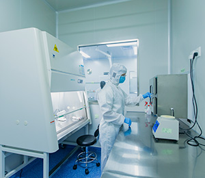  ��������S19