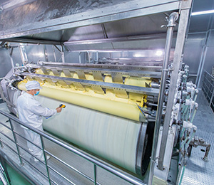  ��������S31