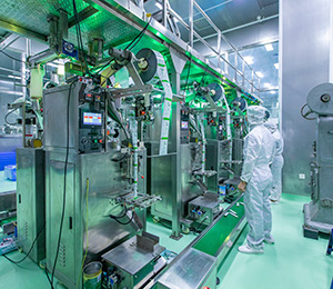  ��������S12