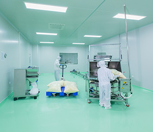  ��������S1