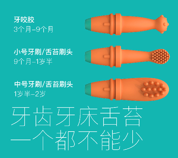 益牙樂(lè)yingye牙咬膠 (9).jpg