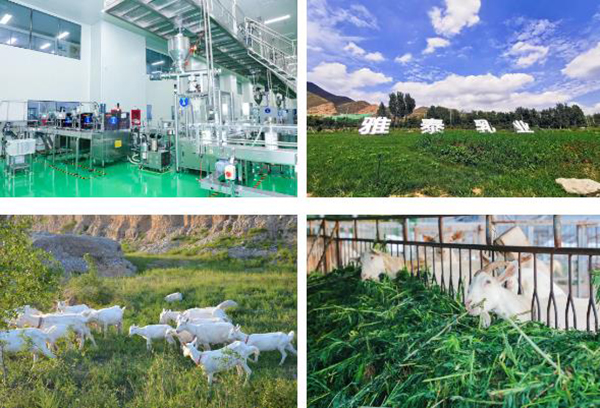 雅泰乳業(yè).jpg 雅泰乳業(yè).jpg