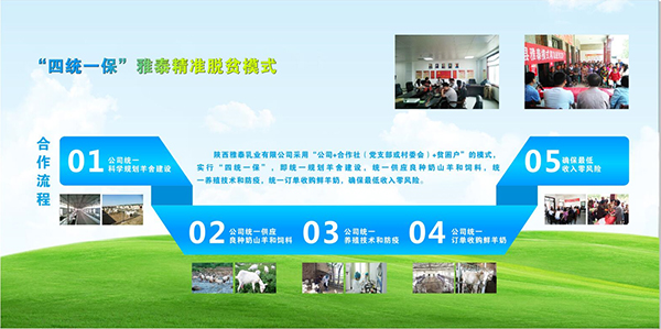 圖片6.jpg 圖片6.jpg