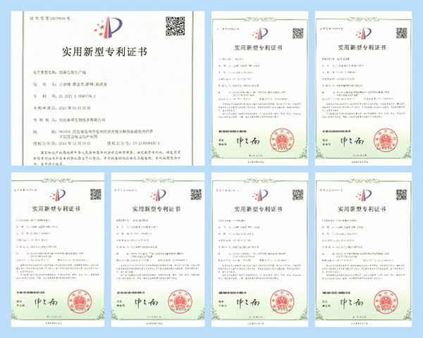 湖北菲瑞生物藥業(yè)有限公司河北分公司專利01.jpg