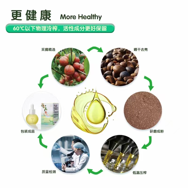 青山紅yinge護(hù)膚茶油工藝.jpg