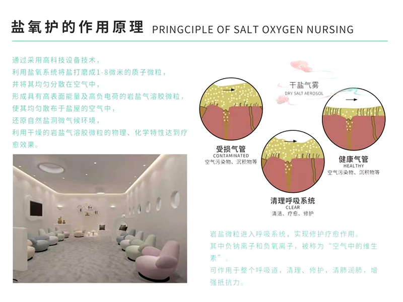 洛洛森林鹽氧護作用原理.jpg