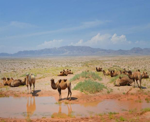 ���ƽz�ĸ�댣�������\�д���������ģʽ���´������o(h��)ȫ�ҽ������\�����ļ�����