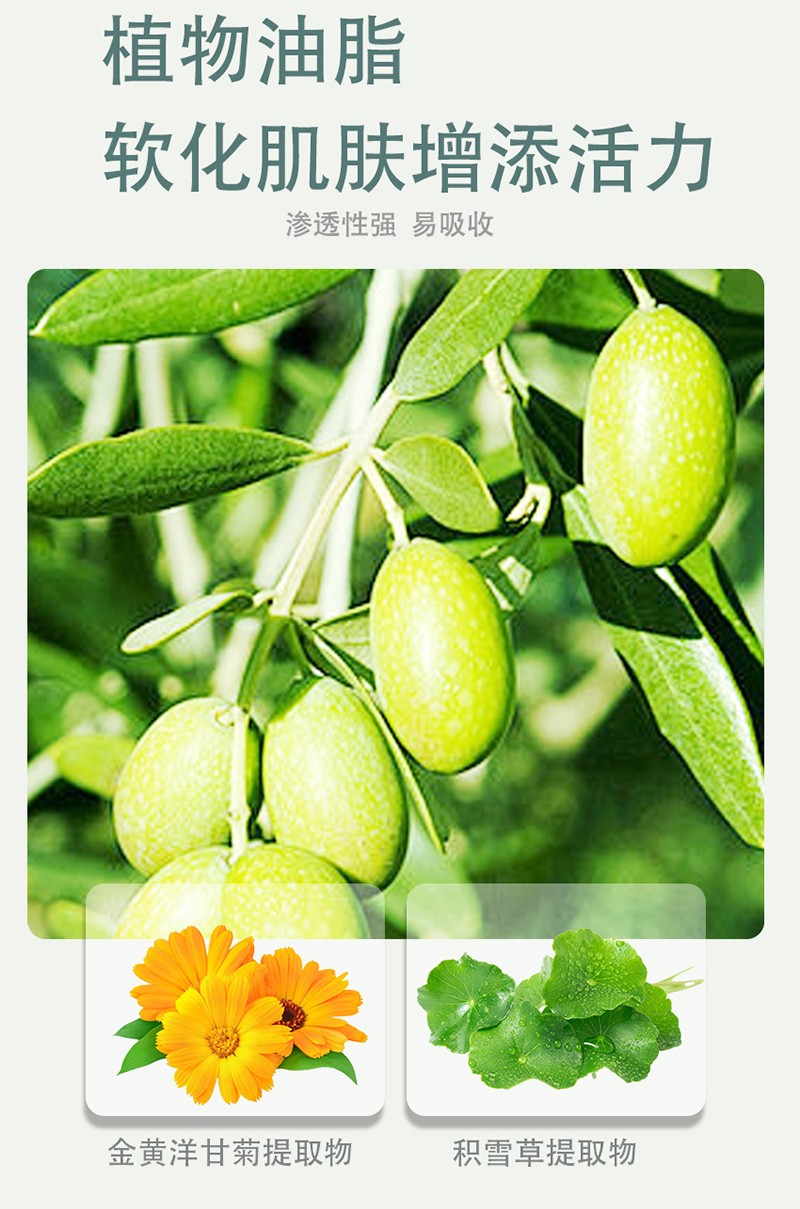 紫嬰童草yinge柔嫩橄欖油詳情圖_10.jpg
