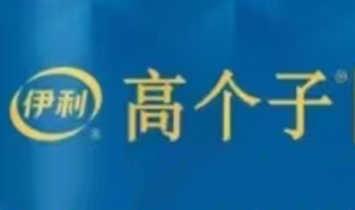 �����߂�(g��)��