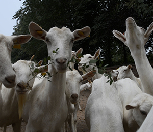 ��Դ����