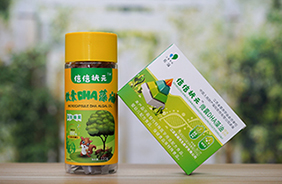 倍倍狀元微囊DHA藻油