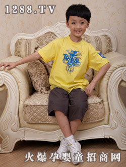 �����(k��)2010�����SɫT��