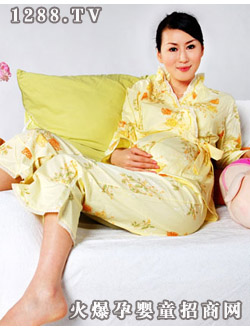 孕唯美長(zhǎng)袖（韓式）哺乳衫