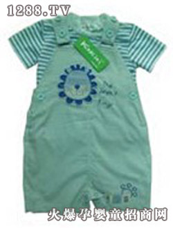 �����(��i)�Ћ��bī�Gɫ