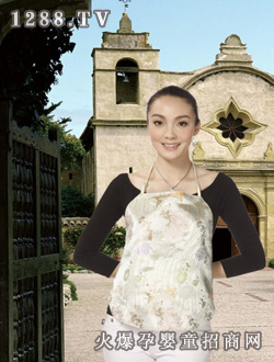 �������ӽ����x�ӶǶ�wsjd-010-13