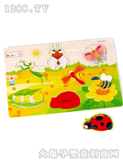 �Ⱥ�ϵ��ƴ�D-���xƴ�D