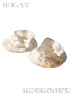 ��(��i)��ʊA�z�_��