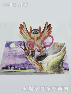 ���������w��