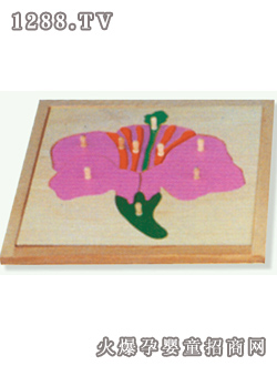 ���ϻ�Ƕ��