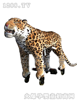 �|���T���R֮�ϻ�����