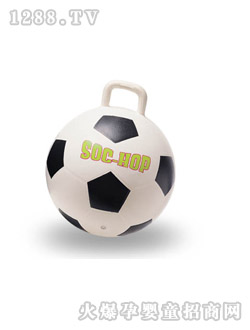 ���Z���ֱ���������