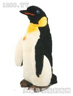 ��������������Z